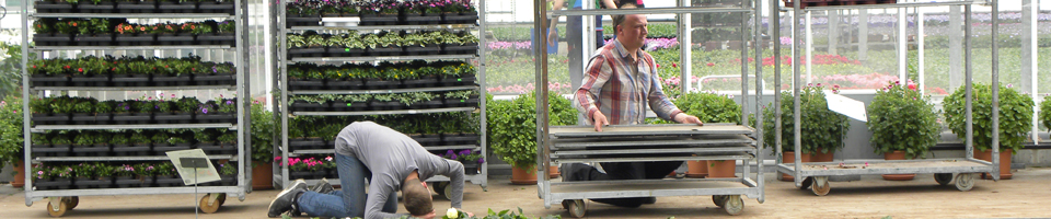 Afbeelding bij de menupagina Extra