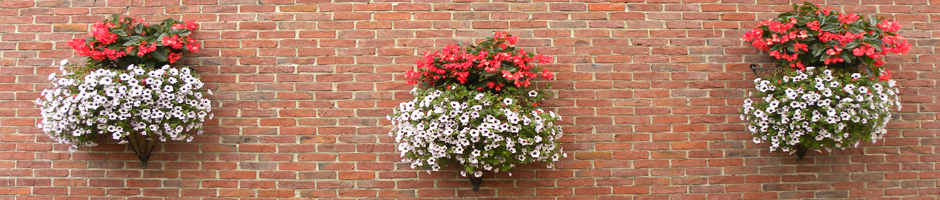 Categorie afbeelding bij de pagina Contact